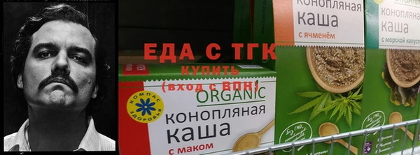 винт Осинники