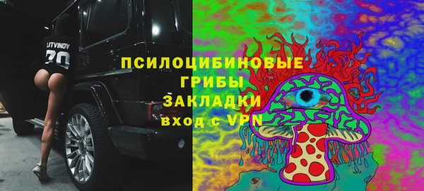 стафф Осташков