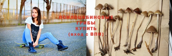 винт Осинники
