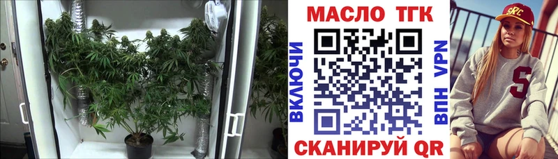МЕГА сайт  Игра  ТГК концентрат 