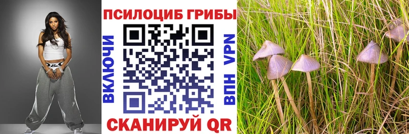 Галлюциногенные грибы MAGIC MUSHROOMS магазин продажи наркотиков мега ТОР Игра
